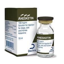 anesket 1000mg injection